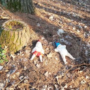 Sunset Lake of Portage County - Gnomes